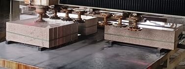 Intelligente Einzelkopf-Poliermaschine mit Portal - Automatischer Vorschub & Polierzyklus